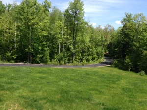 Home driveway asphalt repair MA